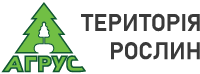 Розсадник Агрус